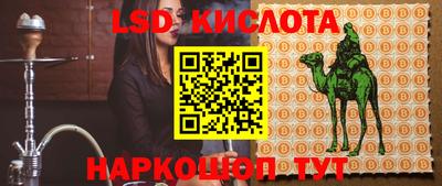 герыч Кингисепп