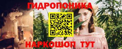 герыч Кингисепп